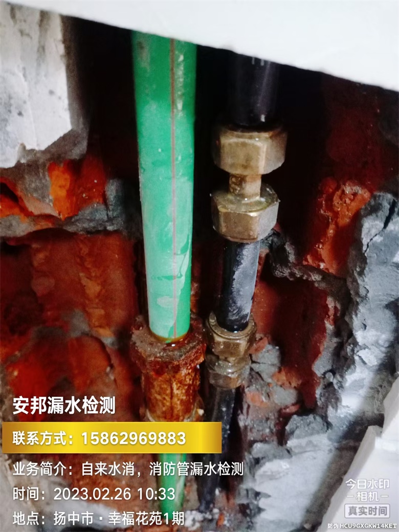 揚(yáng)中市漏水檢測(cè)--幸?；ㄔ?期
